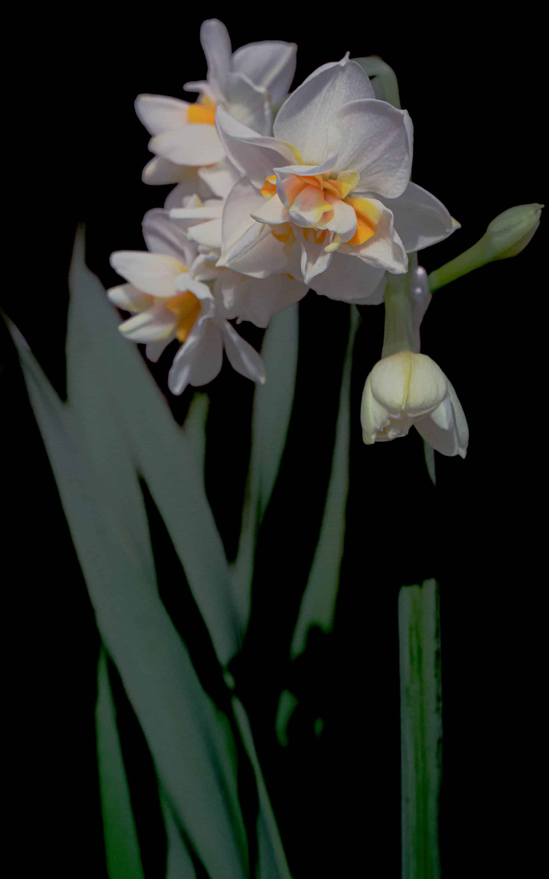 L1021230.jpg