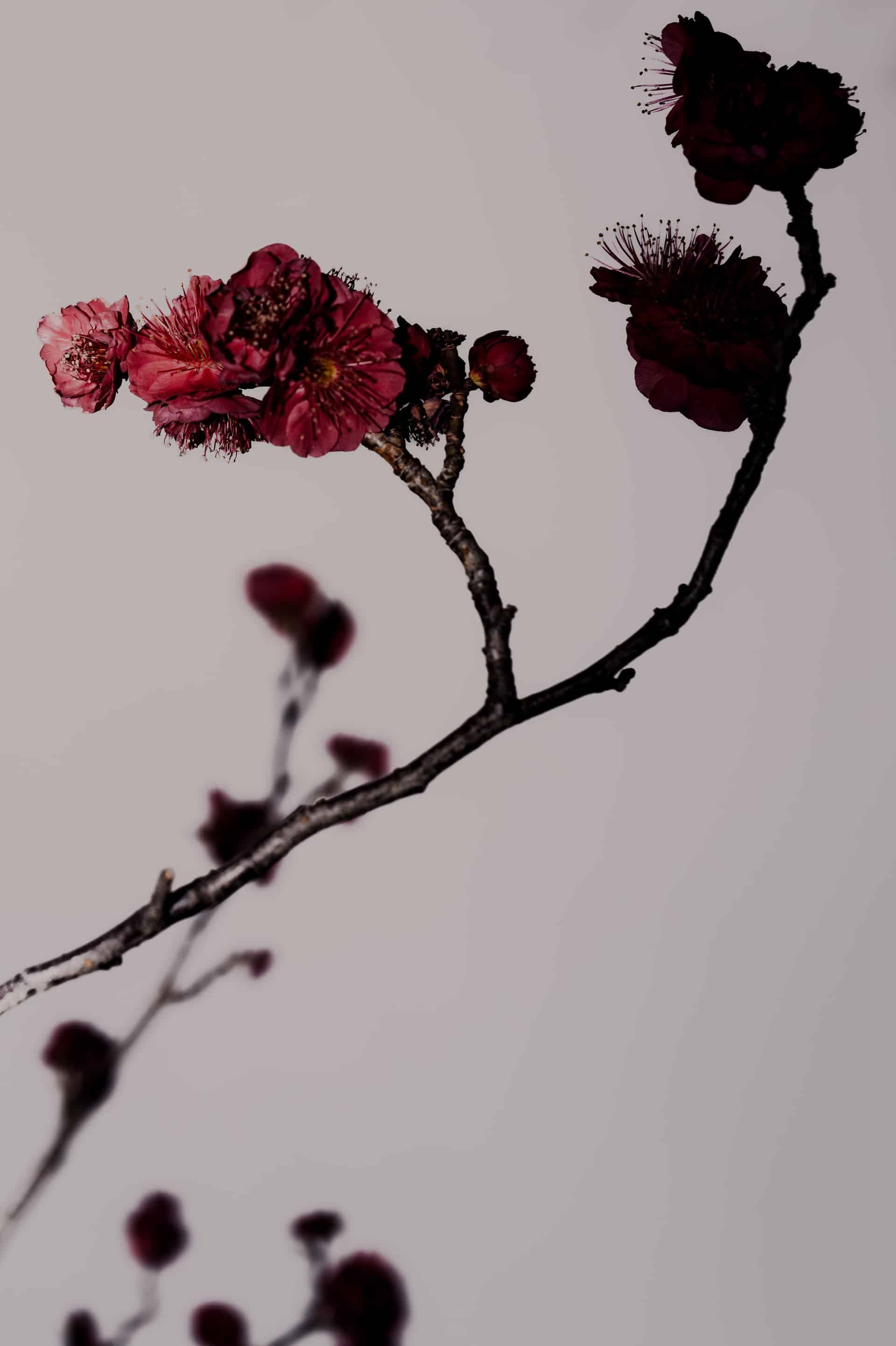 L1021358.jpg