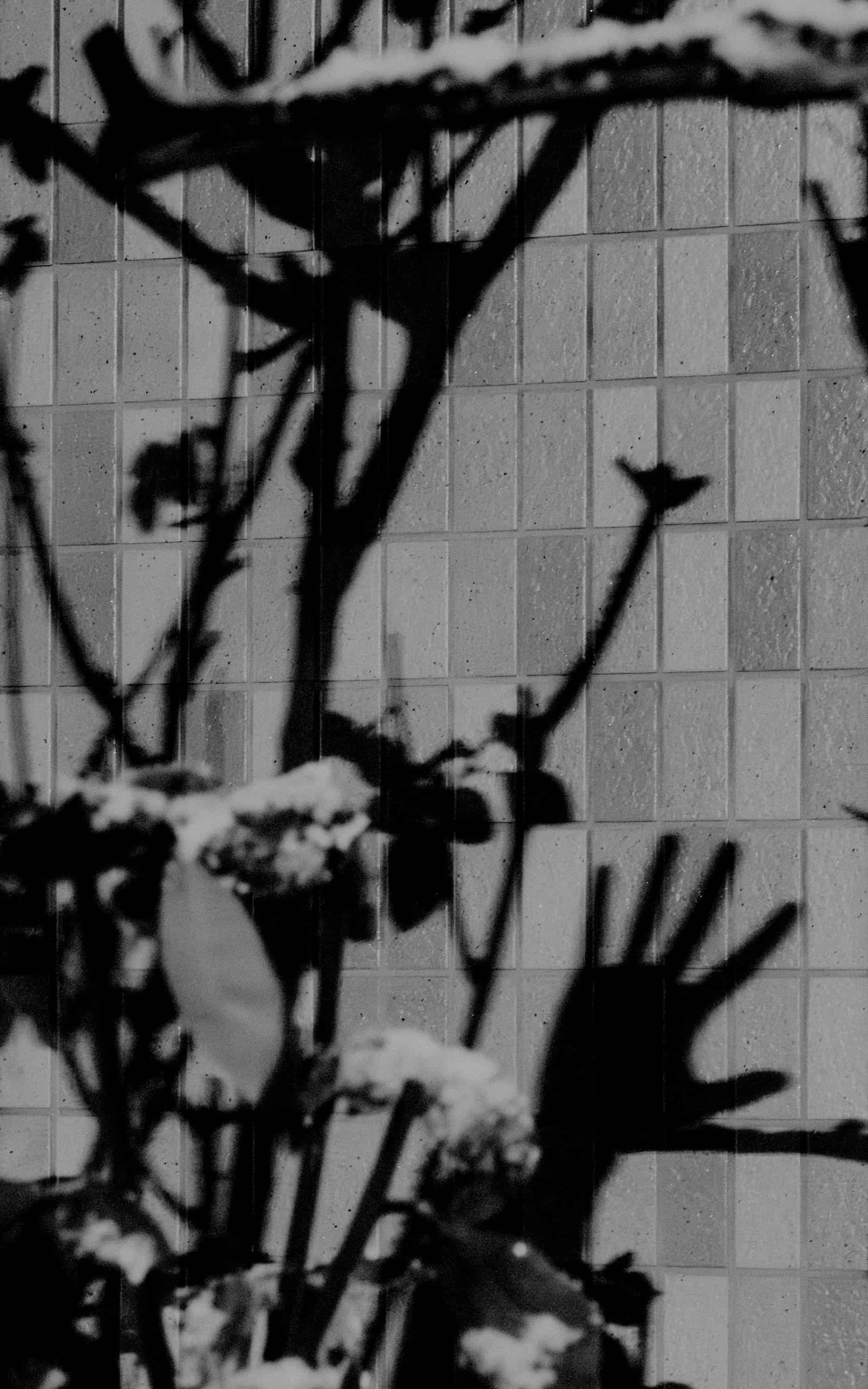 L1021571.jpg