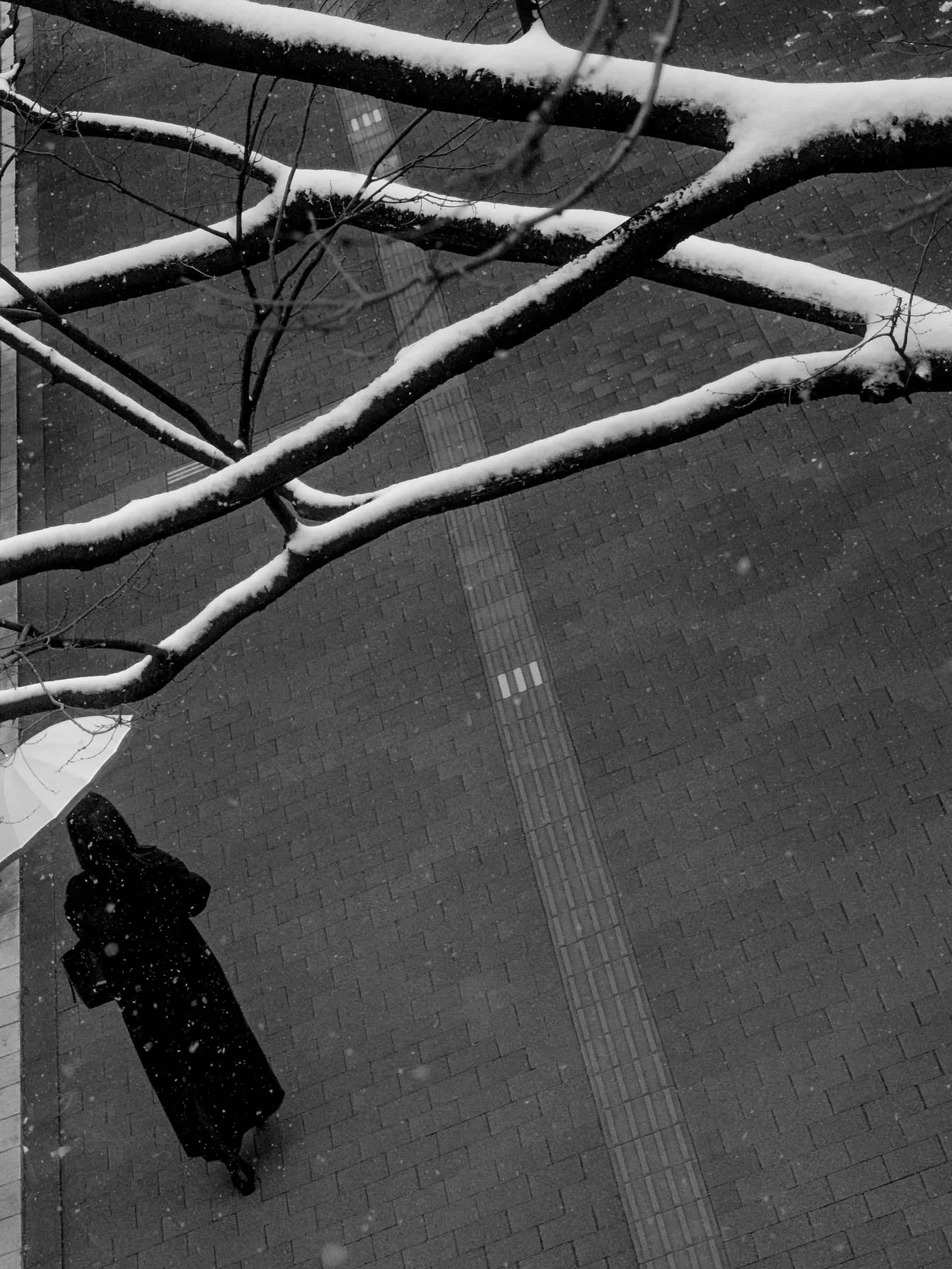L1021742.jpg