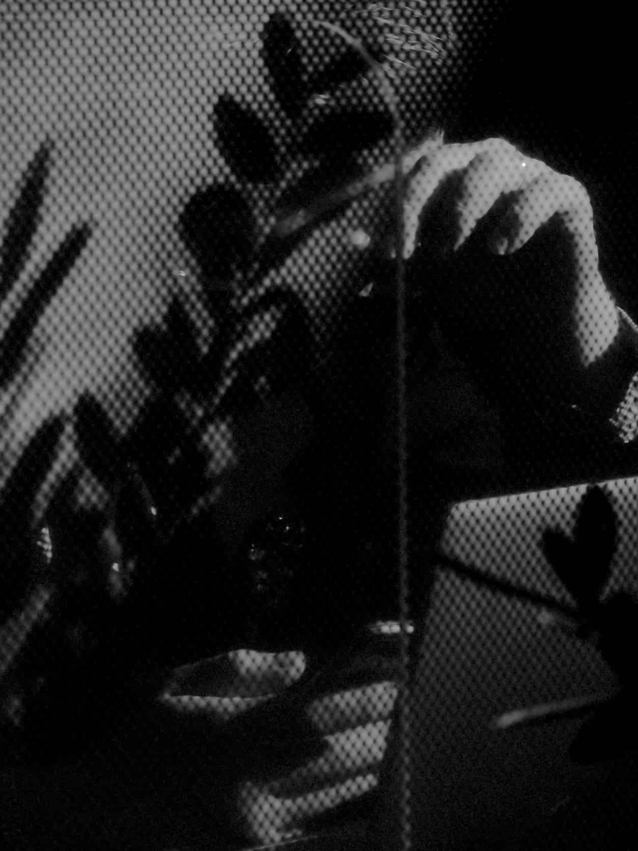 L1030177.jpg