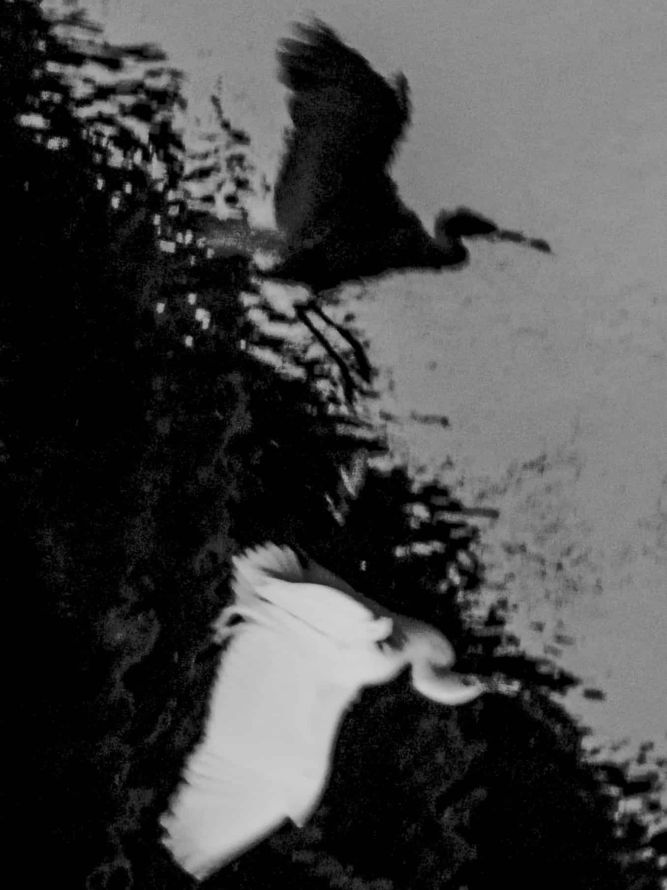 L1030715.jpg