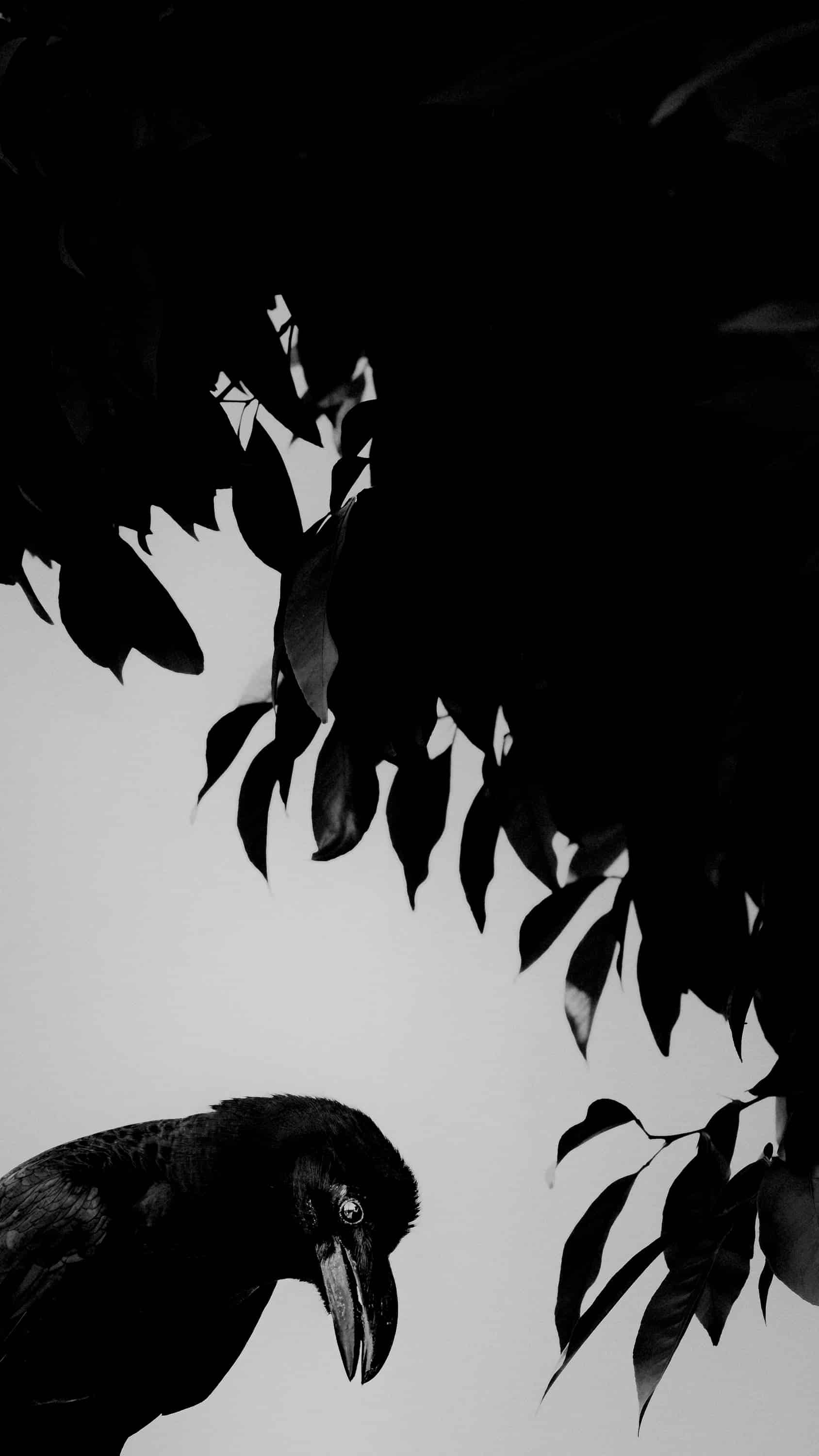 L1031118.jpg