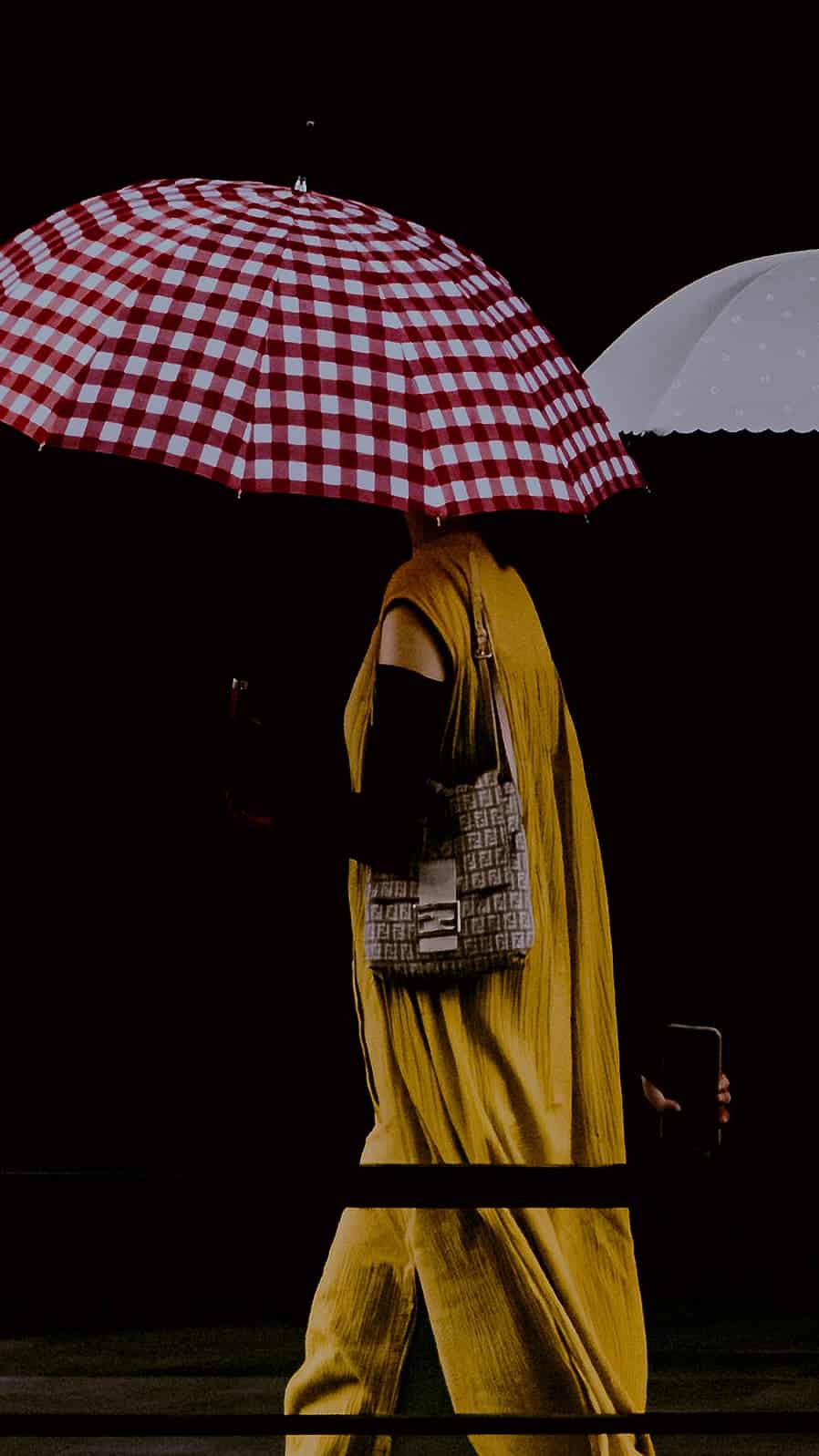L1040084.jpg