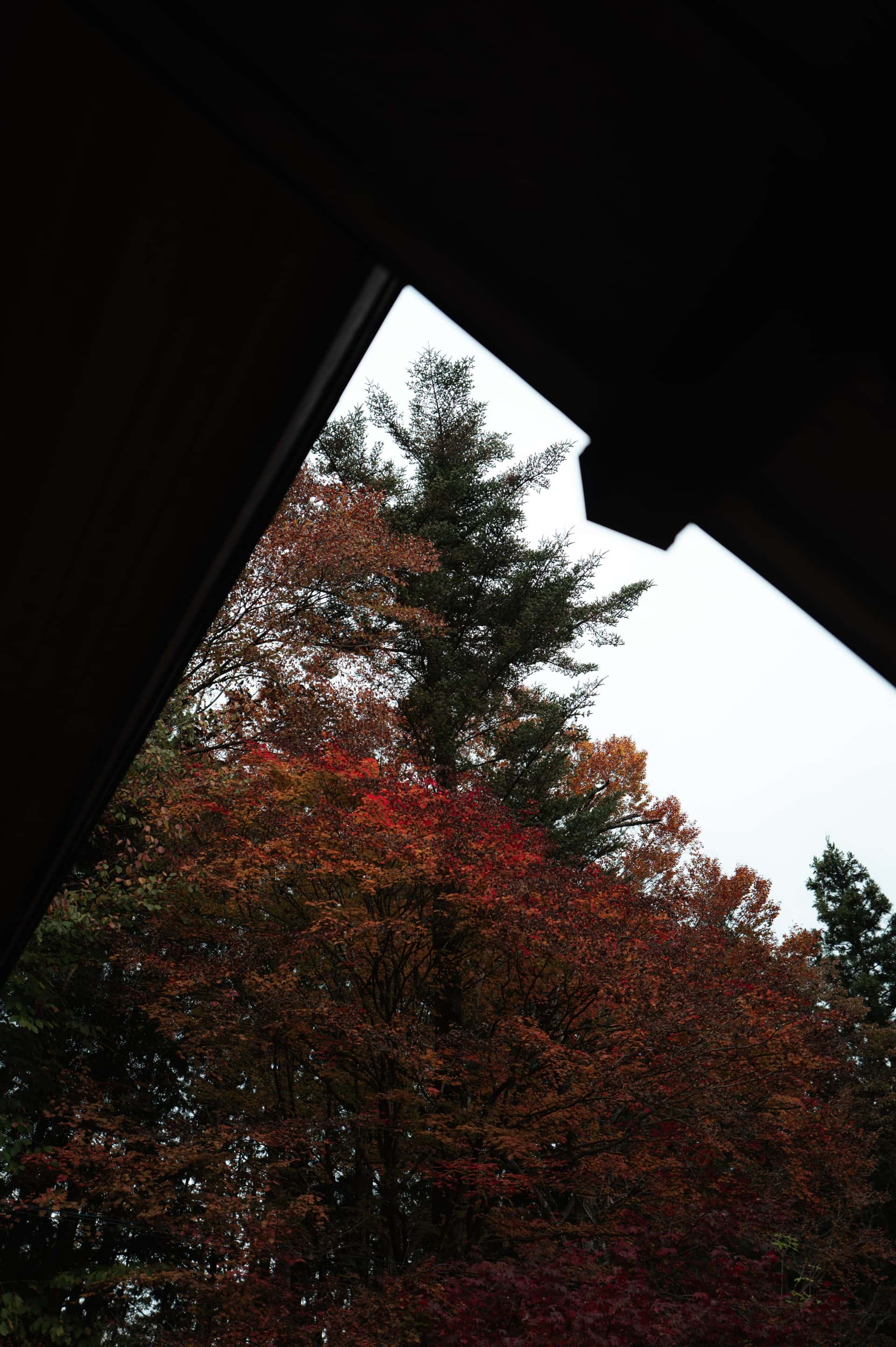 L1070329.jpg