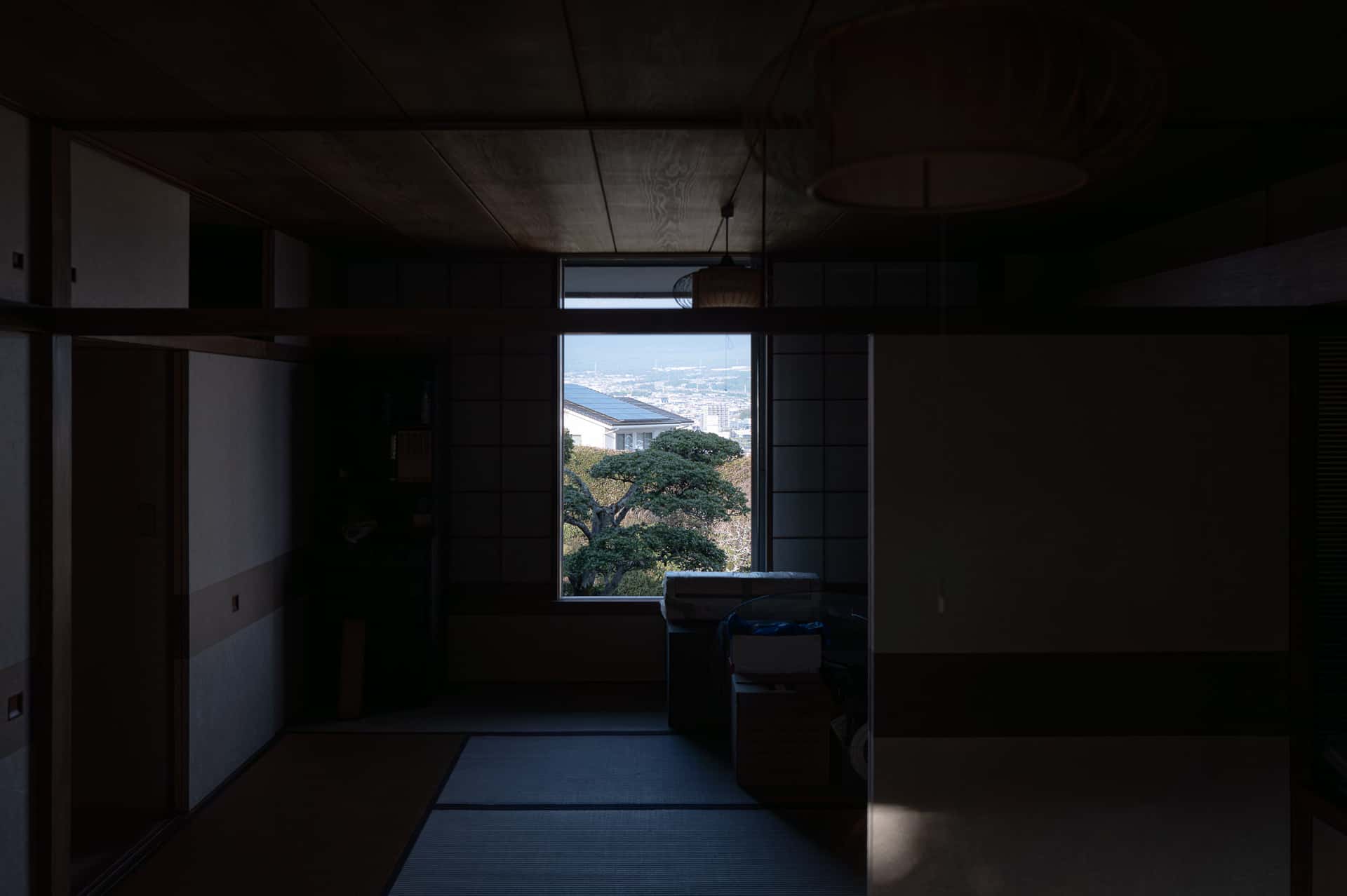 L1101453.jpg