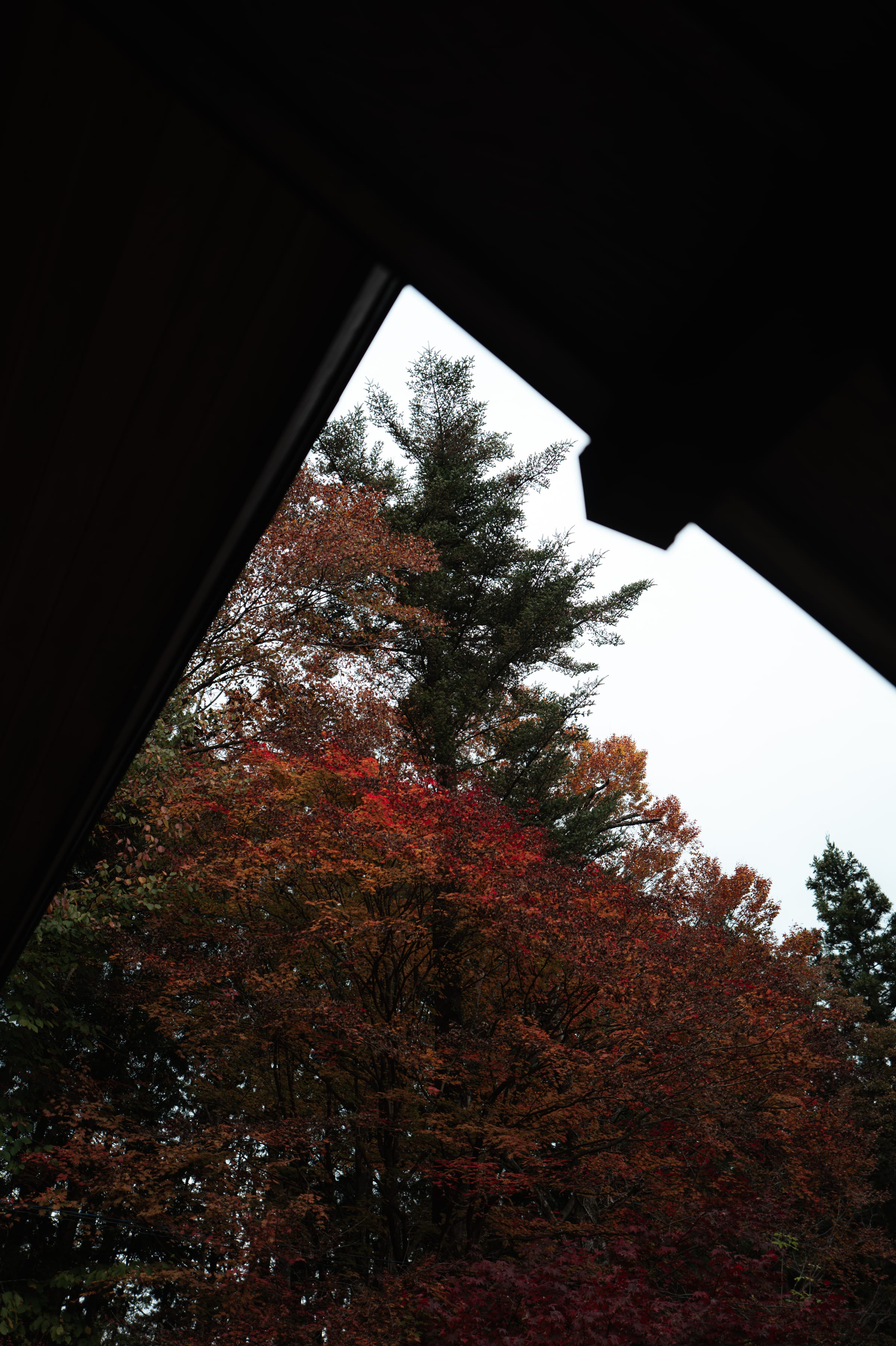 L1070329.jpg